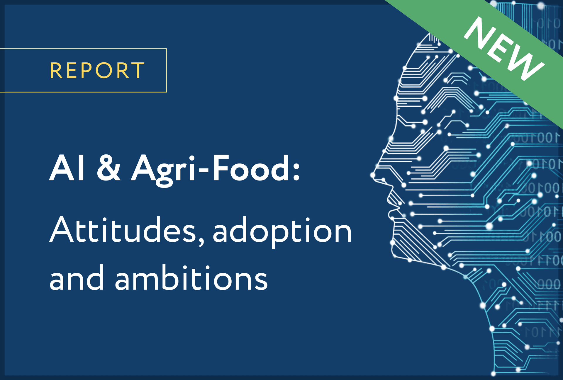 Resources Page CTA_AI whitepaper