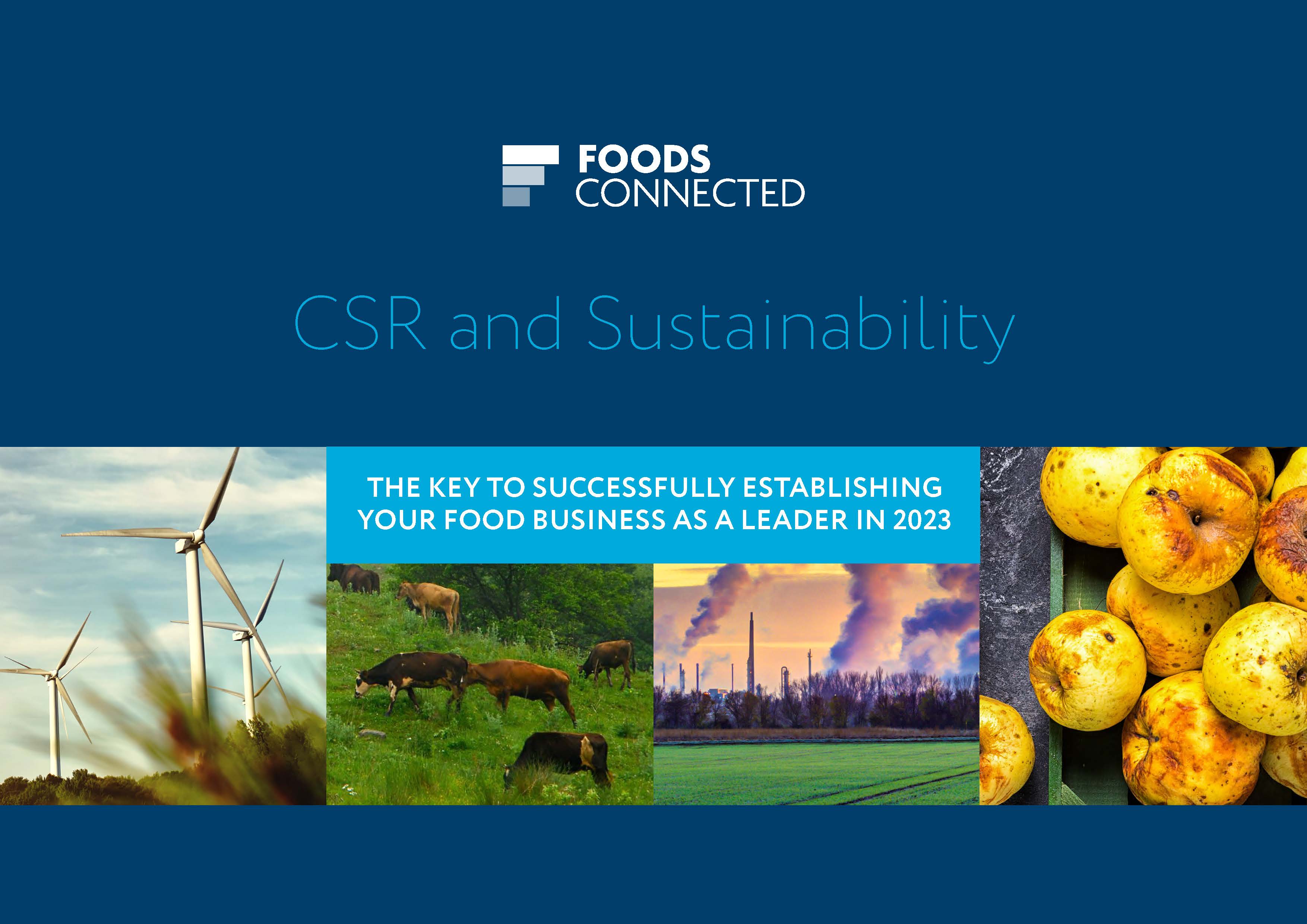 CSR and Sustainability Solution - Foods Connected (1)_Page_01